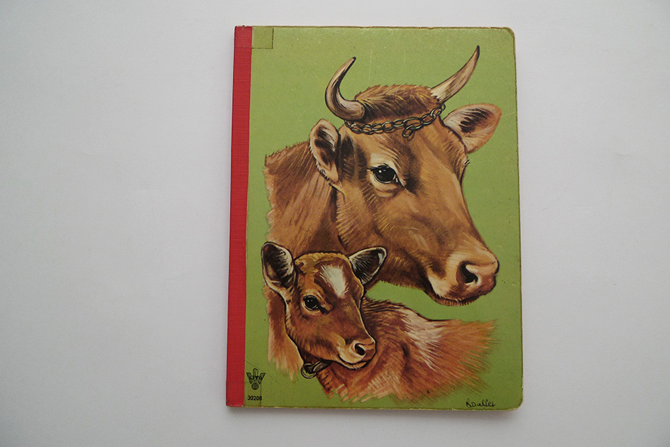 Bilderbuch – Tiere auf dem Bauernhof