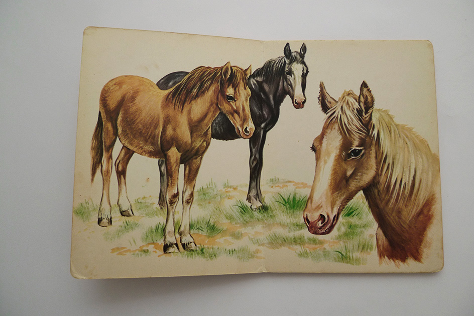Bilderbuch – Tiere auf dem Bauernhof