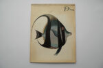 du; Fische; Heft 175, September 1955