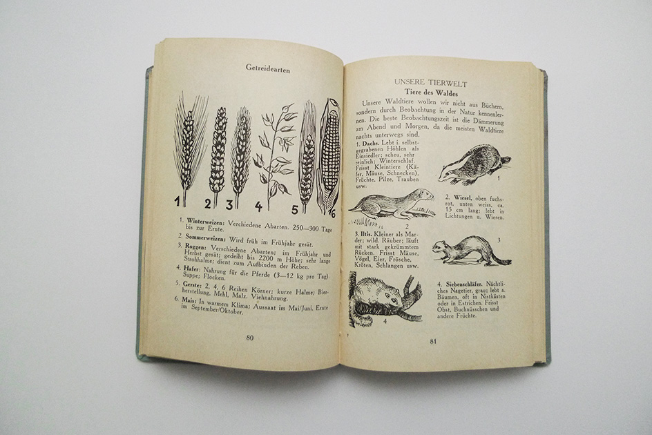 Schweizer Pfadfinderbüchlein