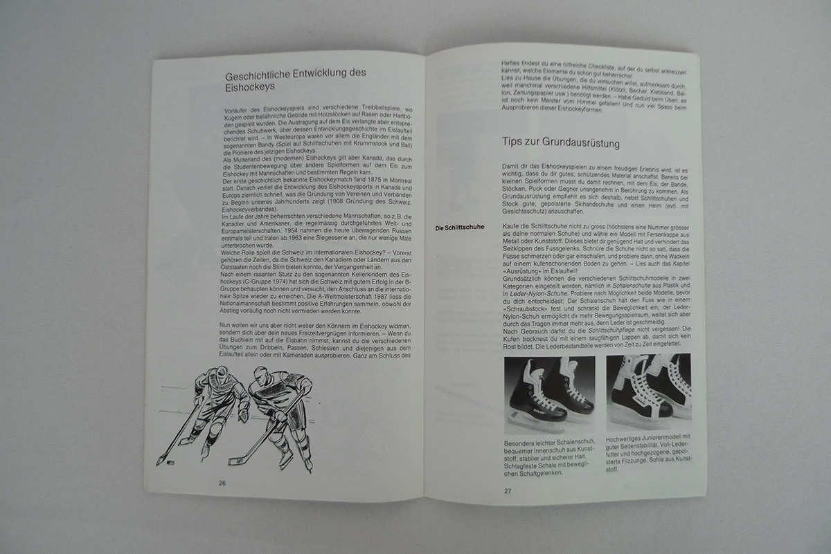 Wir fahren Schlittschuh und spielen Eishockey