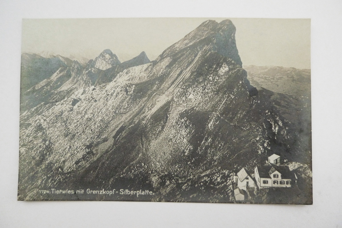 Tierwies mit Grenzkopf-Silberplatte